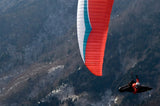 Gin Boomerang 8 (PAST MODEL)