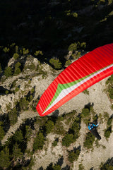 Gin Carrera (PAST MODEL)