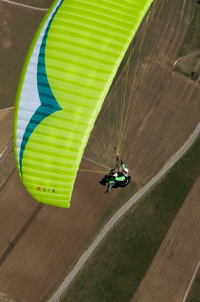 Gin Fuse (PAST MODEL)