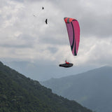 Skywalk CAYENNE6 paraglider | sports class | EN/LTF C