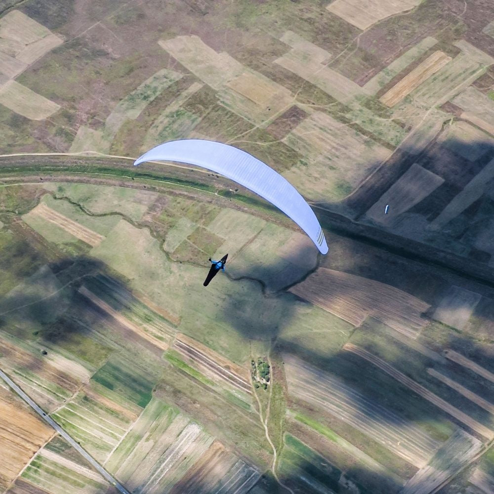 Triple Seven Gambit (PAST MODEL)