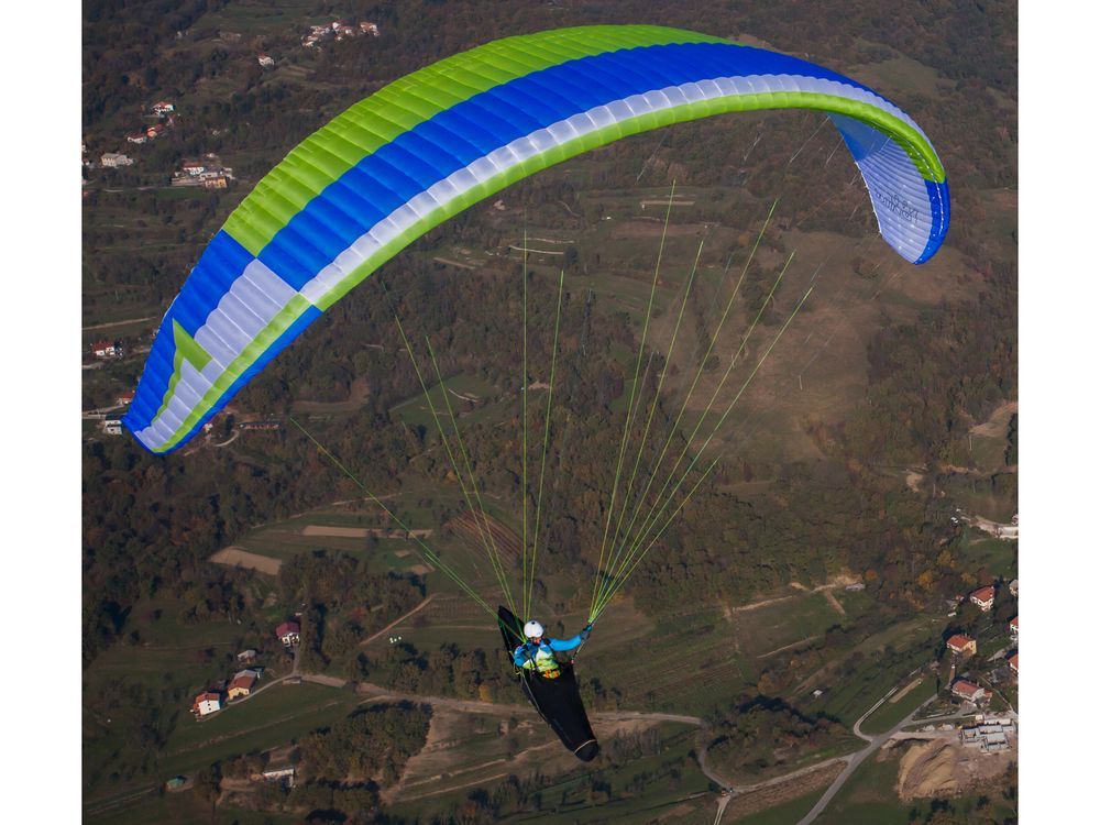 Triple Seven King Wing