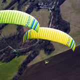 Triple Seven Pawn Evo (PAST MODEL)