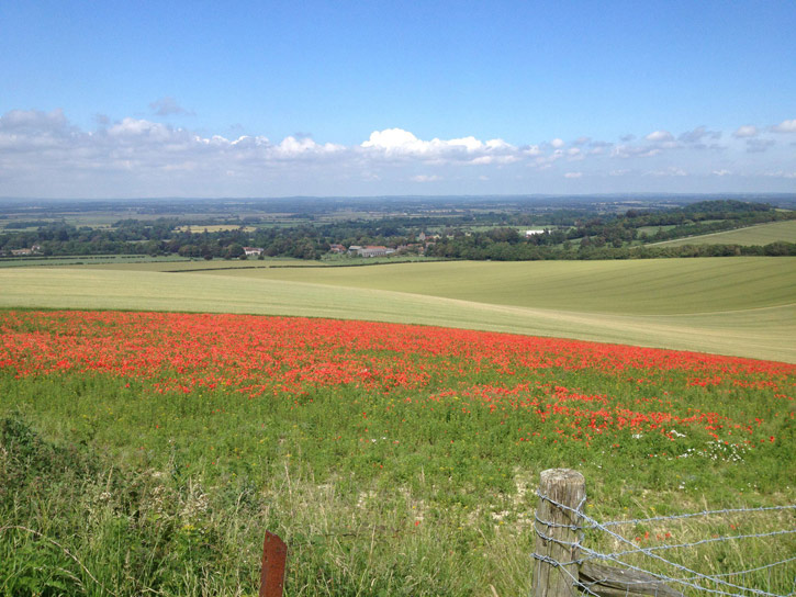 View at Firle